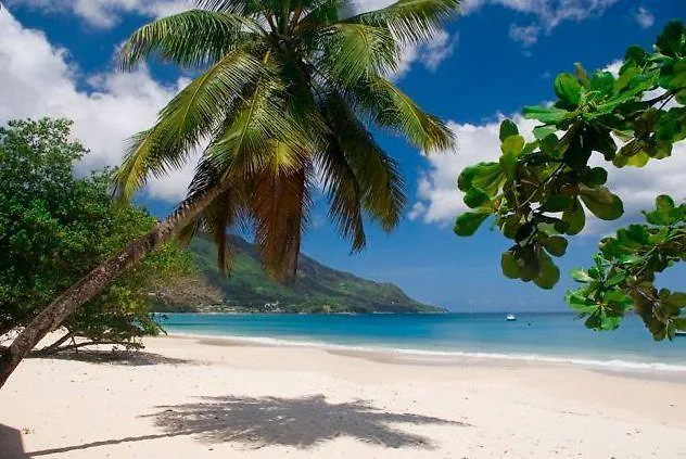 Rowsvilla Affittacamere Beau Vallon (Mahe)